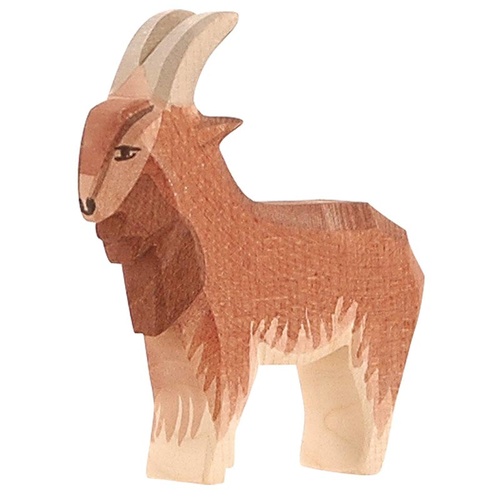 Ostheimer - Goat Male