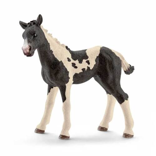 Schleich - Pinto Foal 13803