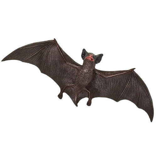 Safari - Brown Bat