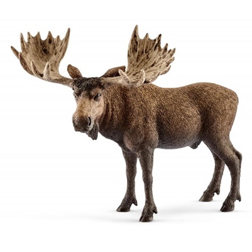 Schleich - Moose Bull 14781