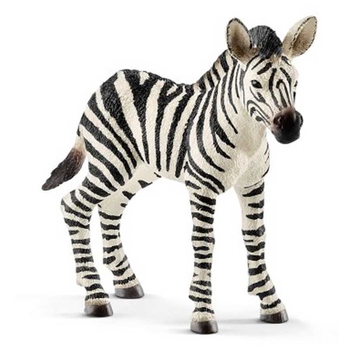 Schleich - Zebra Foal 14811