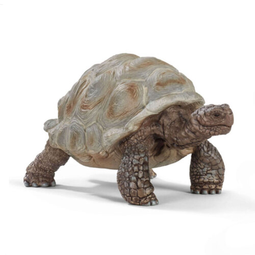 Schleich - Giant Tortoise 14824