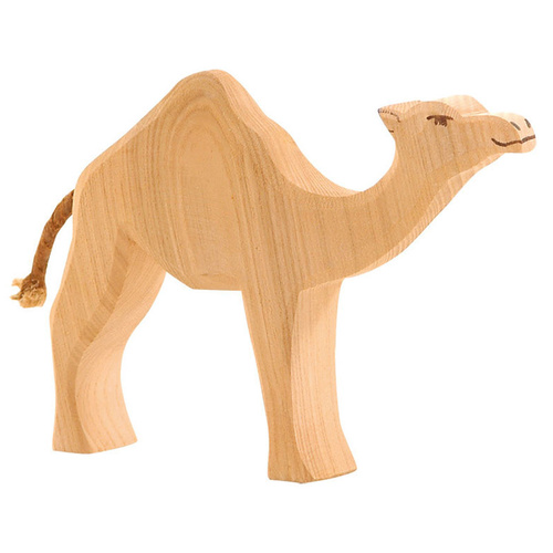 Ostheimer - Camel (Dromedary)