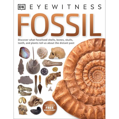 Eyewitness - Fossil