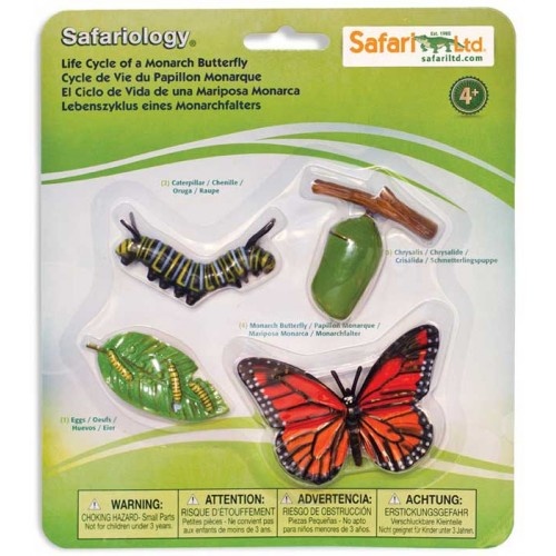 Safariology - Life Cycle of a Monarch Butterfly