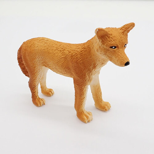 Animals of Australia - Dingo