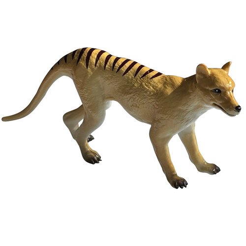 Animals of Australia - Tasmanian Tiger