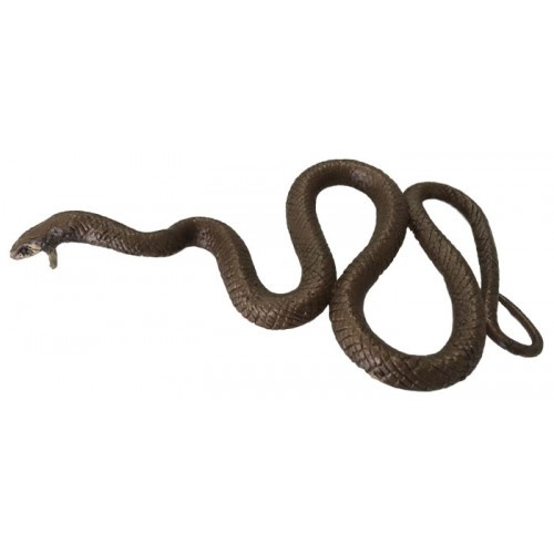 Animals of Australia - Eastern Brown Snake