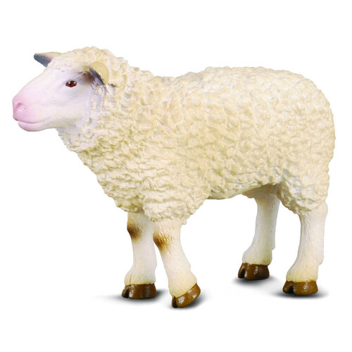 Collecta - Sheep