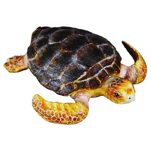 Collecta - Loggerhead Sea Turtle