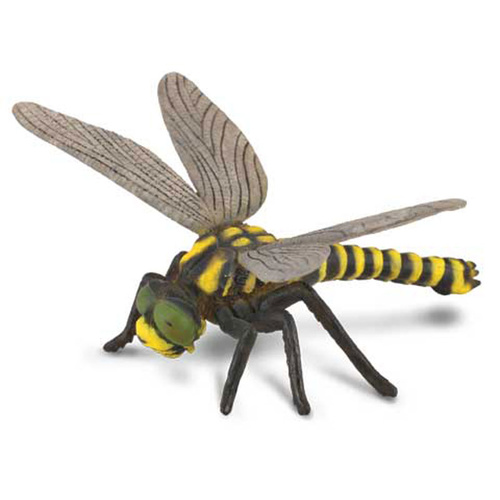 Collecta - Golden Ringed Dragon Fly