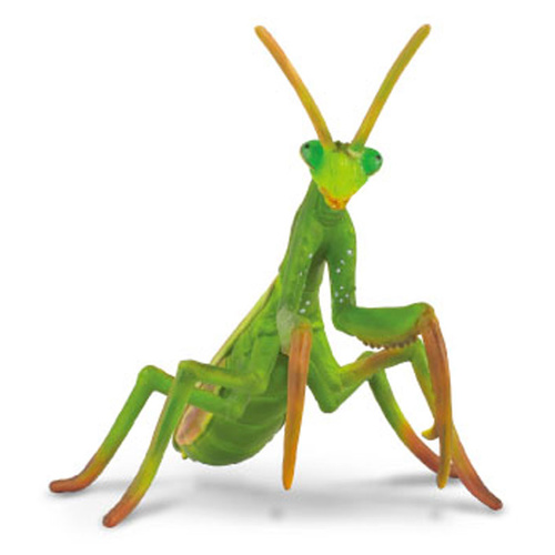 Collecta - Praying Mantis