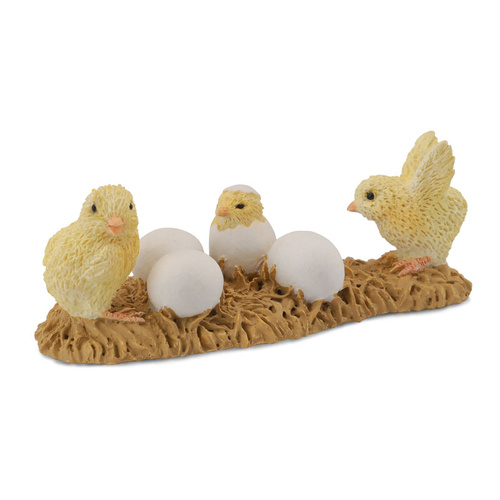 Collecta - Chicks Hatching