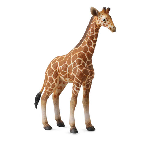 Collecta - Giraffe Calf