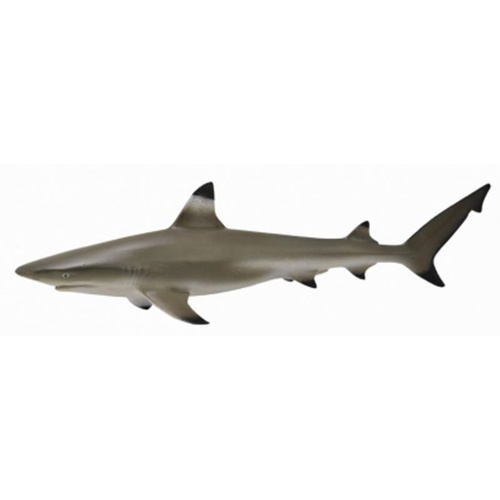 Collecta - Black Tip Reef Shark 