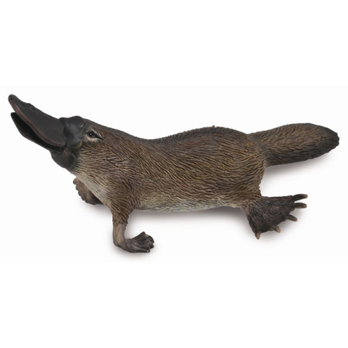 Collecta - Platypus