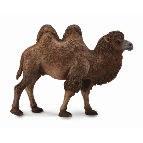 Collecta - Bactrian Camel