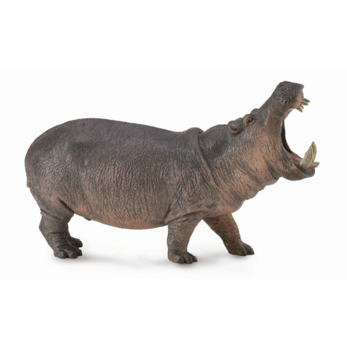 Collecta - Hippopotamus