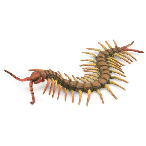 Collecta - Centipede