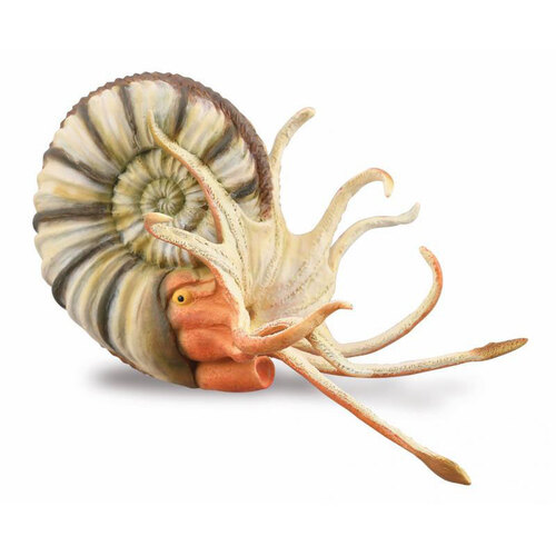 Collecta - Pleuroceras Ammonite