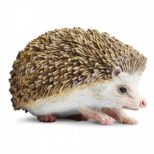 Safari - Hedgehog