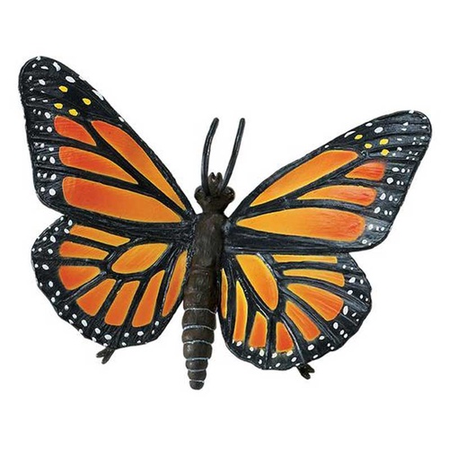 Safari - Monarch Butterfly