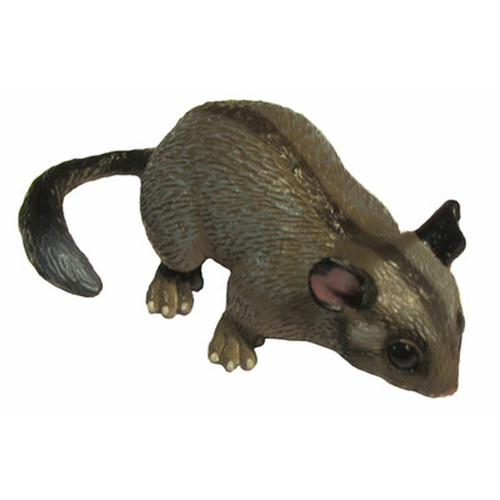 Animals of Australia - Leadbeater's Possum
