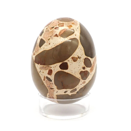 Leopardite Egg